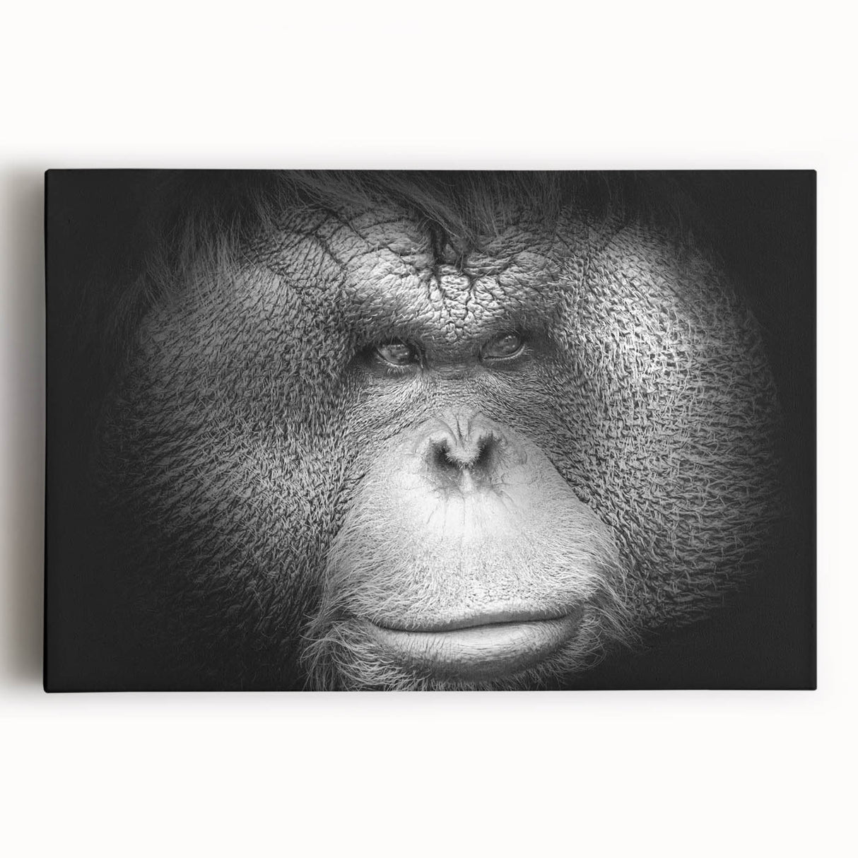 Colorful stretched canvas wall art featuring a vibrant orangutan design, showcasing intricate detailing and a lively jungle background, ideal for animal lovers and home decor.