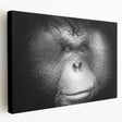Stretched canvas wall art featuring a vibrant orangutan design with rich orange and brown hues, perfect for adding a playful touch to any room decor.