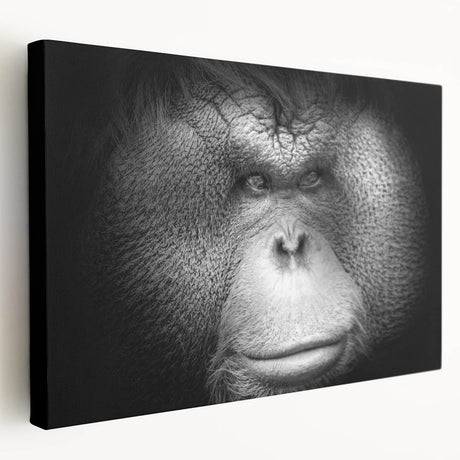Stretched canvas wall art featuring a vibrant orangutan design with rich orange and brown hues, perfect for adding a playful touch to any room decor.