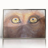 Mid-century modernist art of a bird in muted earth tones on framed acrylic, ideal for nursery wall decor.