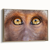 Framed canvas featuring a close-up of a bird in black and gold, ideal for bedroom wall art.