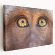 Close-up image of a bird on stretched canvas in soft earth tones, ideal for kitchen wall art.