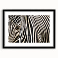 Extra large abstract art print of colorful, textured birds, framed in black, ideal for living room decor.