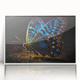 Art deco poster of vibrant birds in flight, framed acrylic, ideal for nursery wall art.