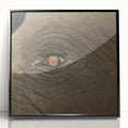 Large abstract wall art featuring a bird in mid-century modernist style, with muted earth tones on framed acrylic.