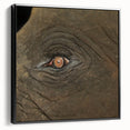 Black and white wall art featuring a close-up of a bird, printed on framed canvas, suitable for bedroom decor.