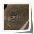 Close-up image of a bird perched on a branch, in muted earth tones on rolled canvas, suitable for dining room wall art.