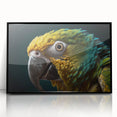 Framed acrylic print featuring a large abstract depiction of birds in black and white, ideal for modern art wall decor.