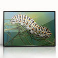 Large abstract wall art featuring a mid-century modernist style with bold, monochrome tones on framed acrylic.