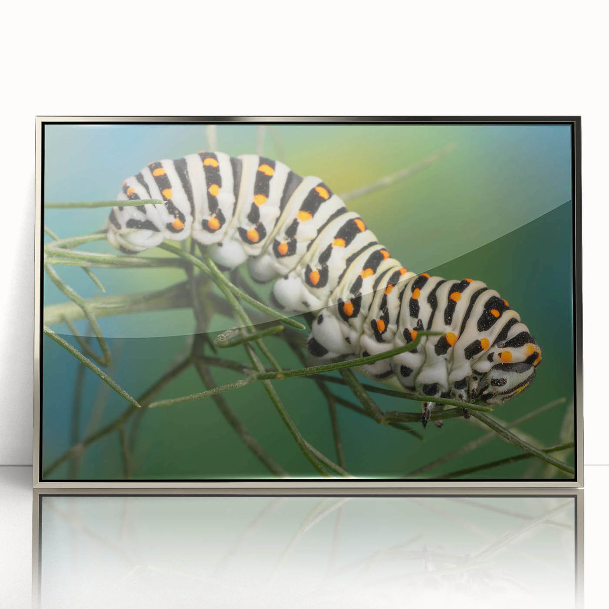 Mid-century modernist art of a bird in flight, depicted in muted earth tones on a framed acrylic.