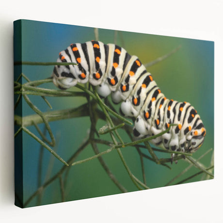 Close-up image of a bird in vibrant colors on a stretched canvas, ideal for kitchen wall art.