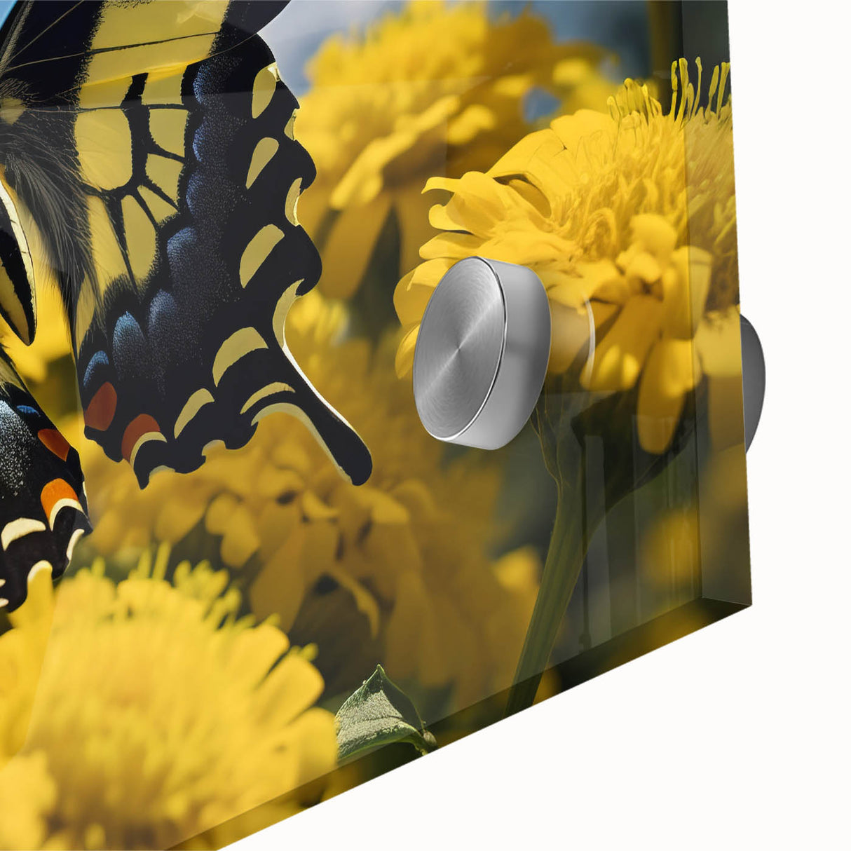 Large abstract wall art featuring a close-up of a bird in pastel shades on acrylic glass, ideal for dining room decor.