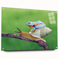 Close-up image of a bird in muted earth tones on an acrylic glass, ideal for bedroom or dining room wall art.