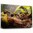Close-up of a bird in muted earth tones on an acrylic glass print, suitable for bedroom or dining room decor.