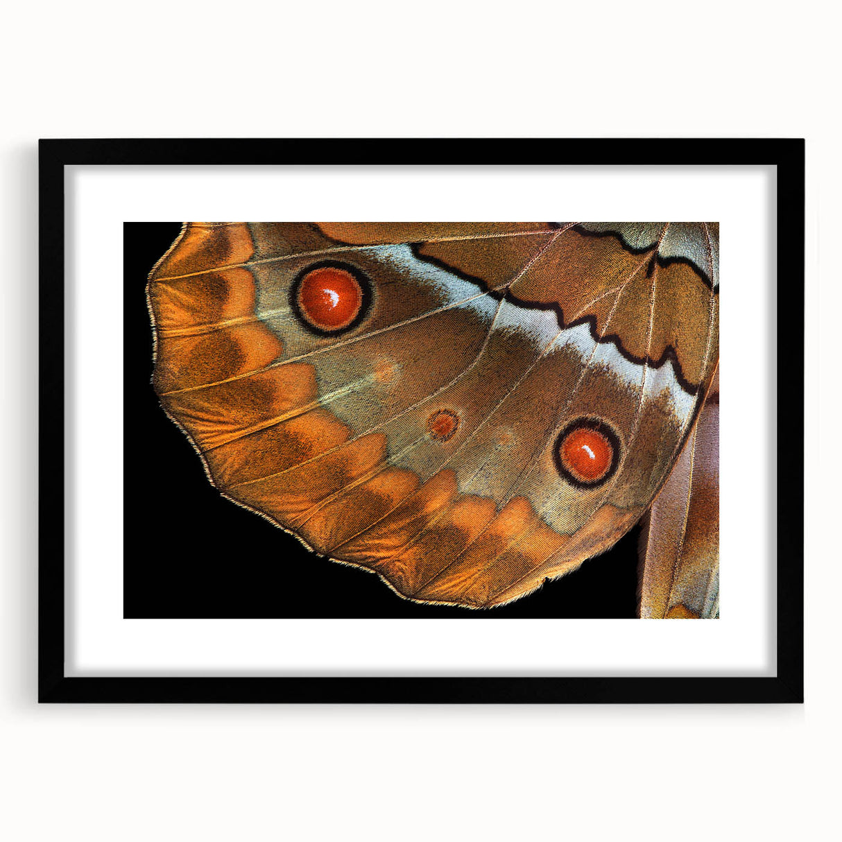 Extra large, colorful abstract art print of birds, in vibrant hues on textured canvas, framed in black.