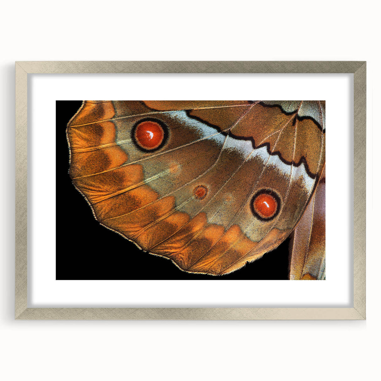 Textured art print of abstract bird designs in muted earth tones on a framed silver mat, suitable for bedroom art.