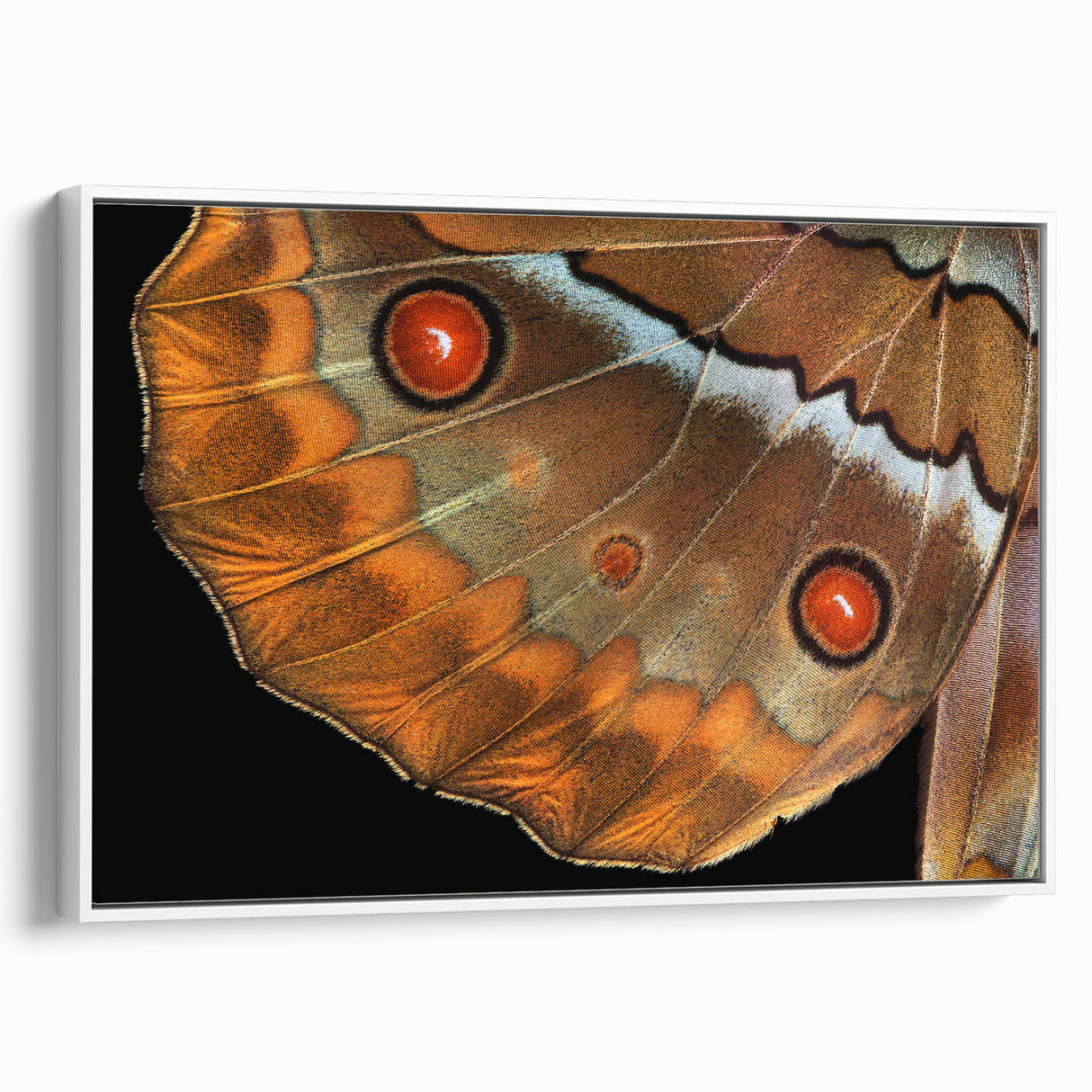 Framed canvas featuring a vintage poster of colorful birds, ideal for extra large living room wall decor.