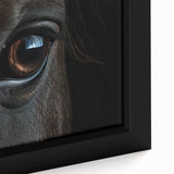 Extra large framed canvas featuring a close-up of a colorful, textured bird, ideal for living room decor.
