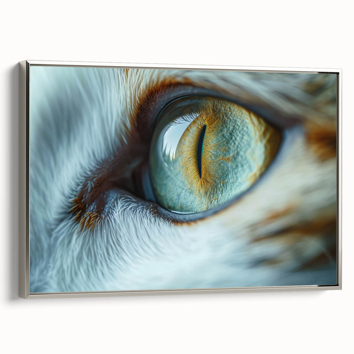 Landscape art painting of a colorful bird on a black background, framed canvas, ideal for living room decor.