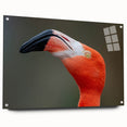 Close-up of a bird in flight, captured on large acrylic glass, featuring vibrant blue and white tones.