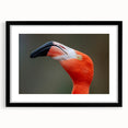 Extra large abstract art print featuring a colorful, textured depiction of birds, on black framed canvas.
