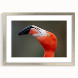 Textured art depicting a close-up of a bird in muted earth tones on a framed silver mat, suitable for bedroom decor.