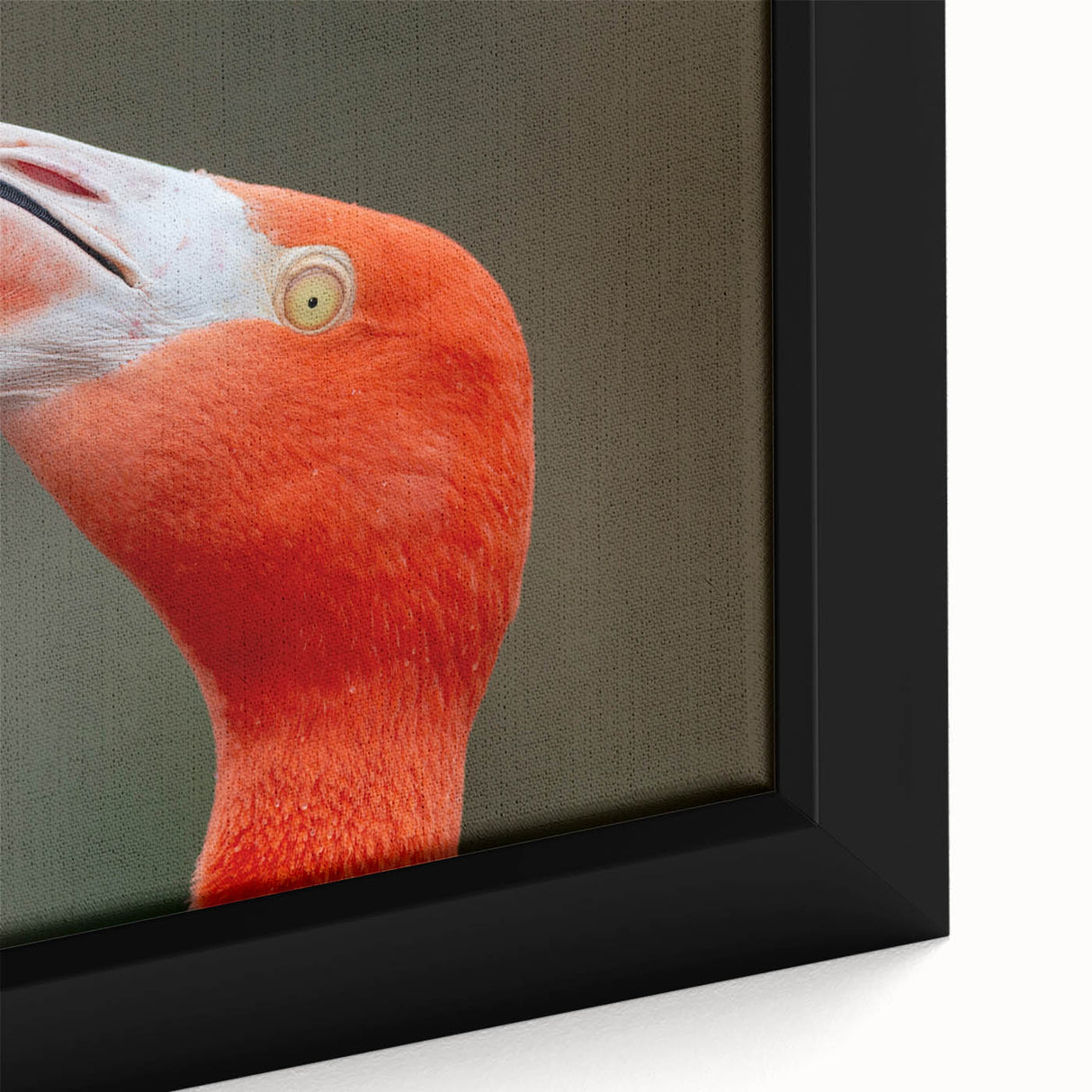 Close-up of a bird in vibrant colors on a black textured canvas, ideal for living room decor.