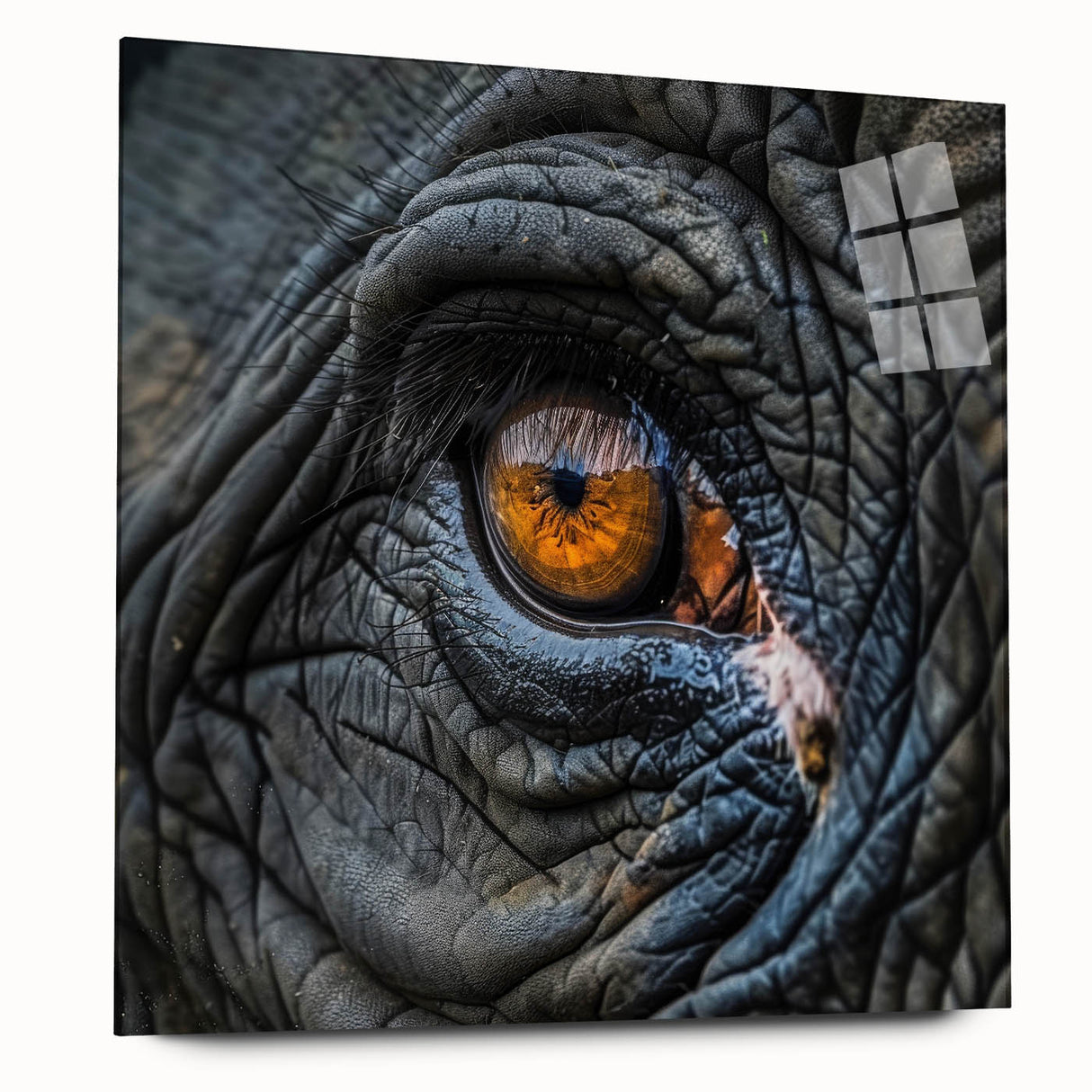 Large abstract wall art featuring a close-up of a bird in vibrant blues and greens on acrylic glass.