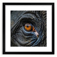 Extra large wall art featuring a vibrant, textured abstract print of birds in multiple colors, framed in black.