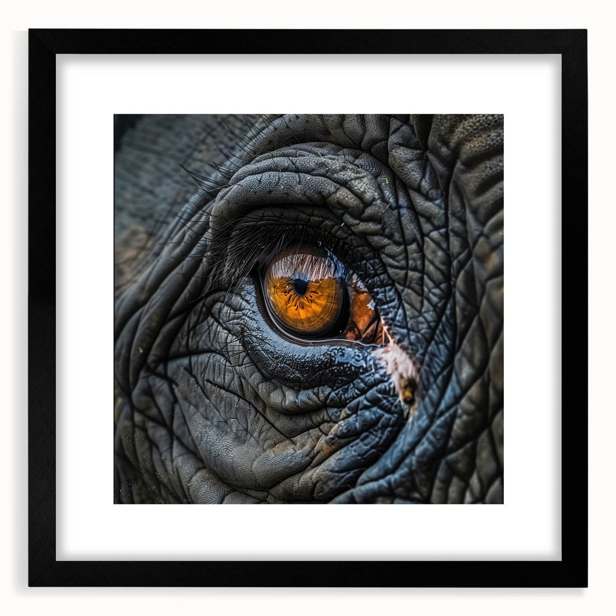 Extra large wall art featuring a vibrant, textured abstract print of birds in multiple colors, framed in black.