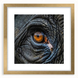 Extra large abstract art print of a bird, textured design in gold frame, ideal for living room decor.