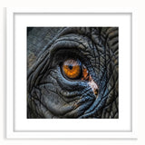 Abstract art print featuring a close-up of a bird in pastel shades on a white framed canvas.