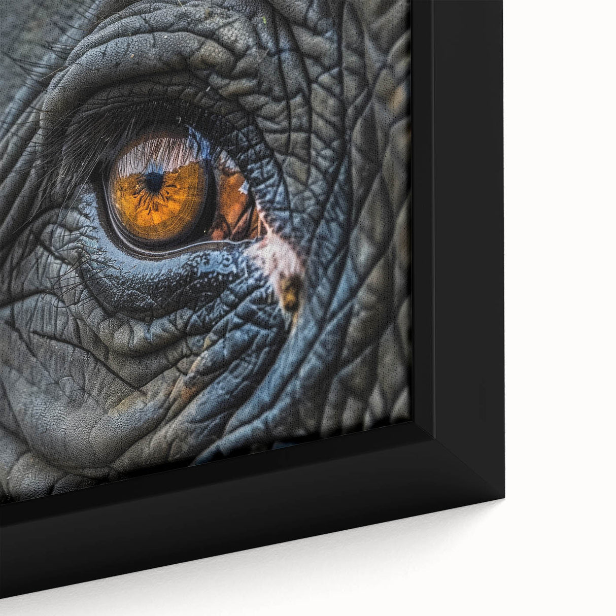 Extra large framed canvas featuring a close-up of colorful, textured birds, ideal for living room decor.