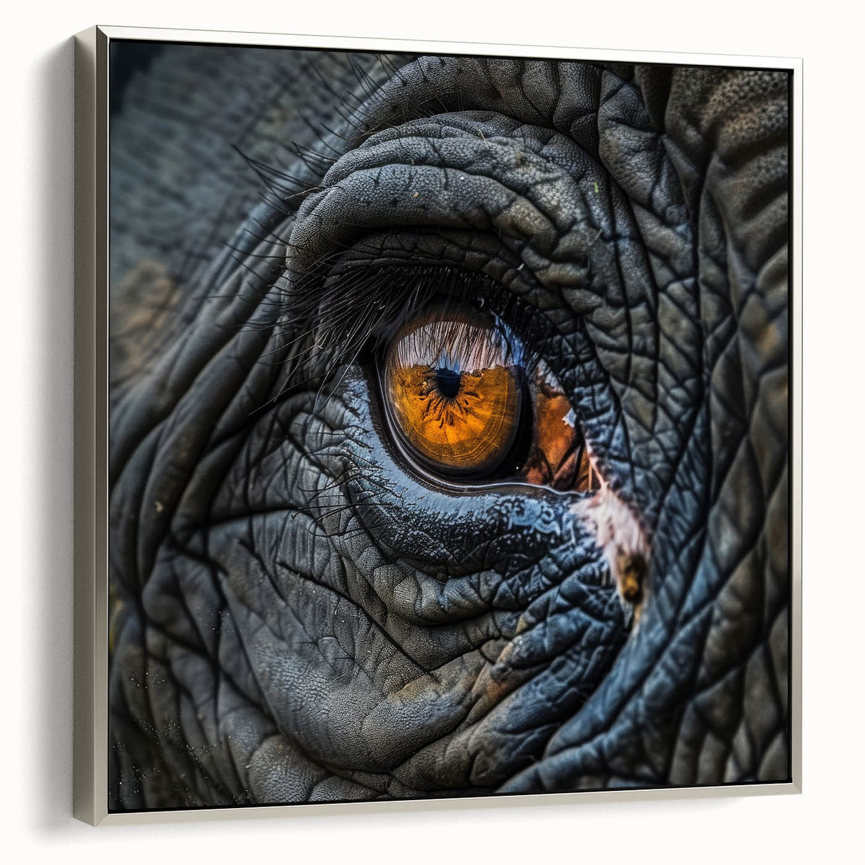 Close-up of a bird in vibrant colors on a silver-framed canvas, ideal for adding a colorful touch to a modern living space.
