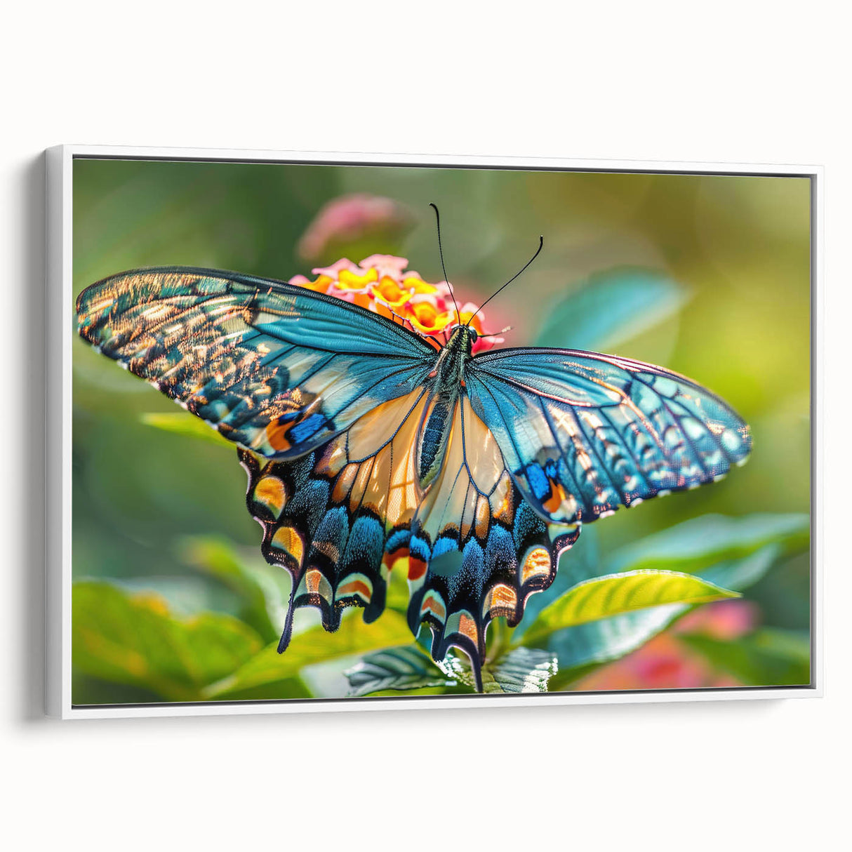 Vintage poster art of colorful birds on a black background, framed canvas, ideal for living room decor.