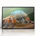 Large abstract wall art featuring a mid-century modernist birds design in muted earth tones on framed acrylic.