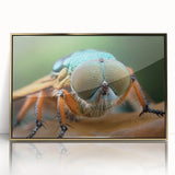 Mid-century modernist style large art print featuring a close-up of a bird, with vibrant colors on a gold-framed acrylic.