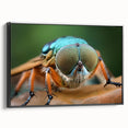 Black and white framed canvas featuring a close-up of a bird, ideal for bedroom wall decor in a vintage poster art style.