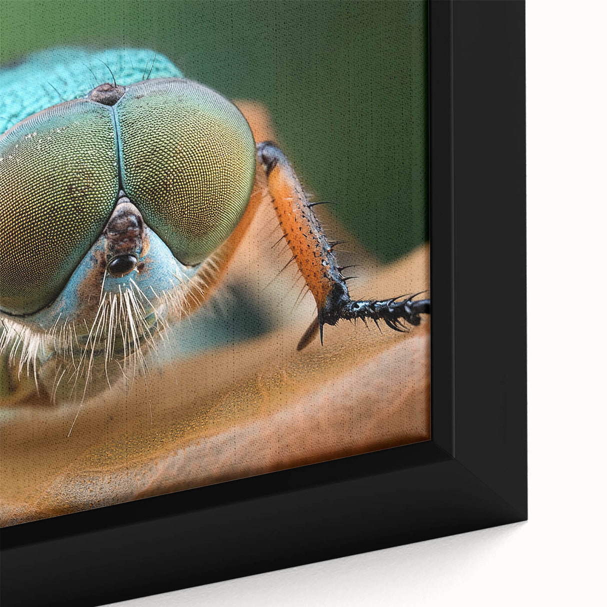 Close-up of a bird in textured black wall art with vibrant colors on framed canvas, ideal for living room decor.