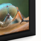 Close-up of a bird in textured black wall art with vibrant colors on framed canvas, ideal for living room decor.