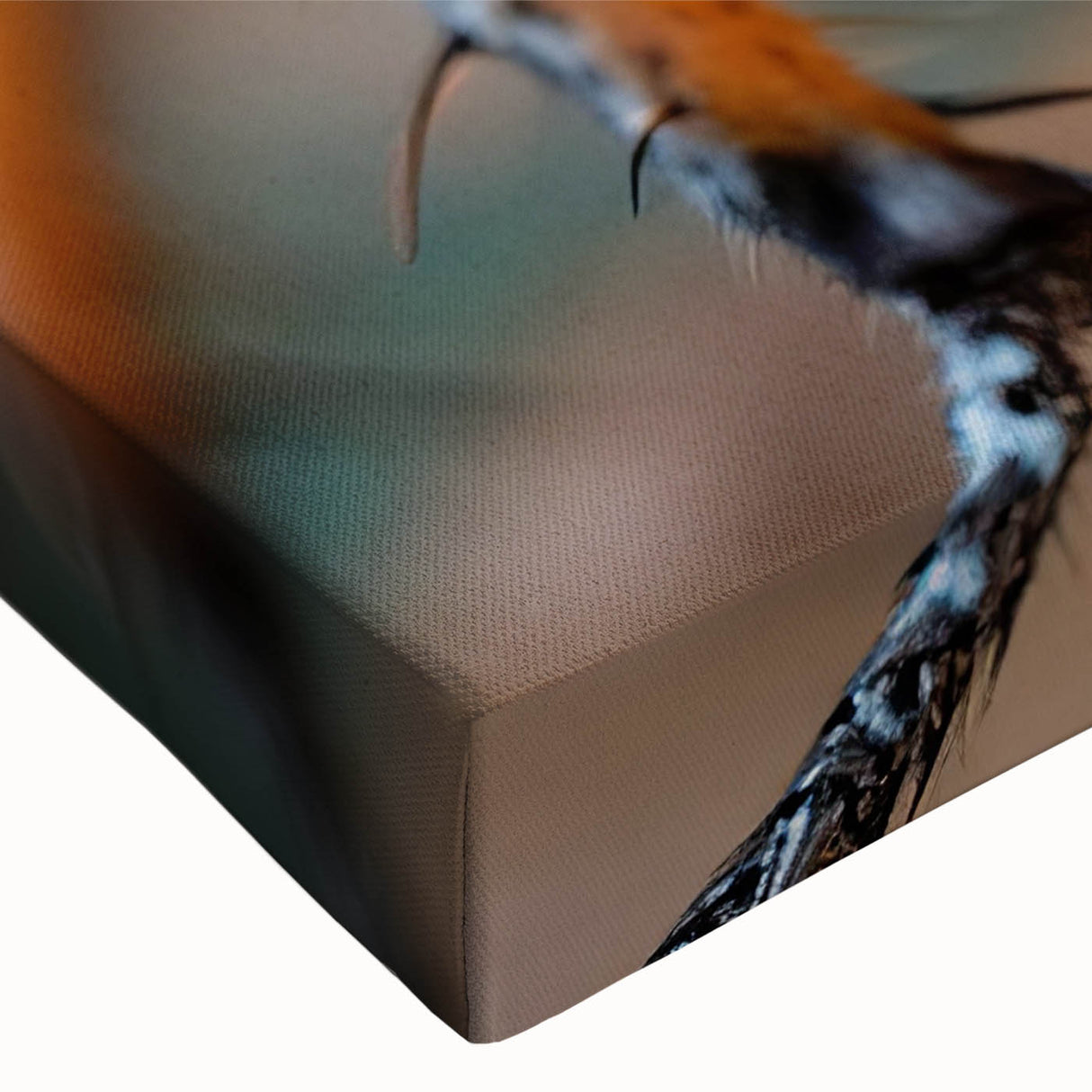 Close-up black and white photo of a bird on stretched canvas, using grayscale tones, suitable for bedroom wall art.