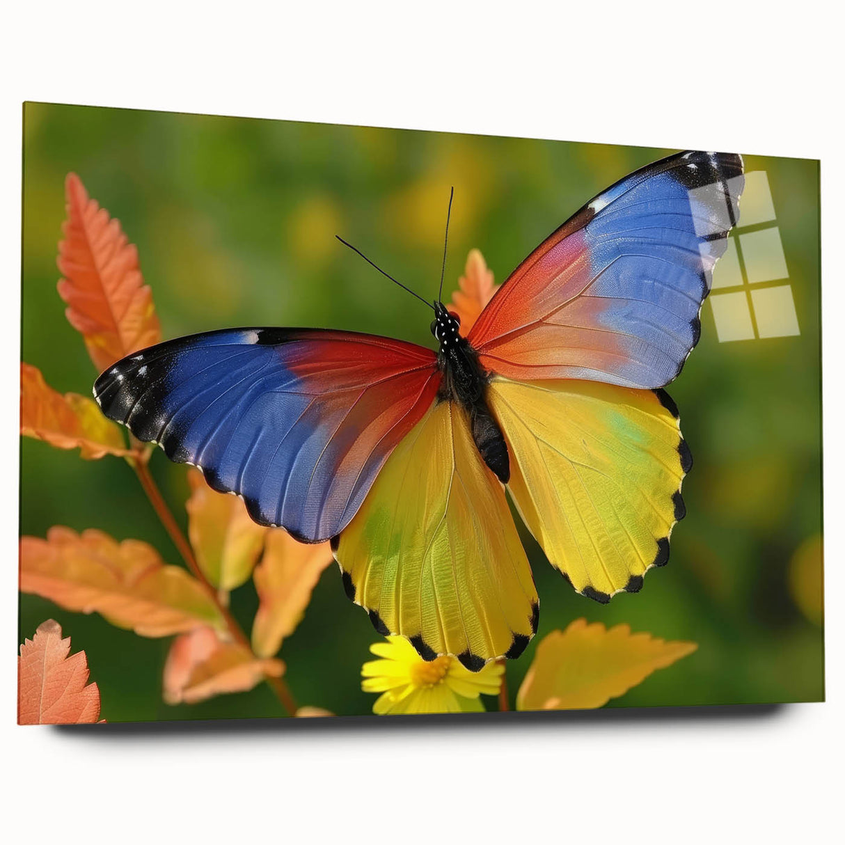 Close-up image of a bird on acrylic glass, featuring soft gray and white tones, ideal for bedroom or dining room art.