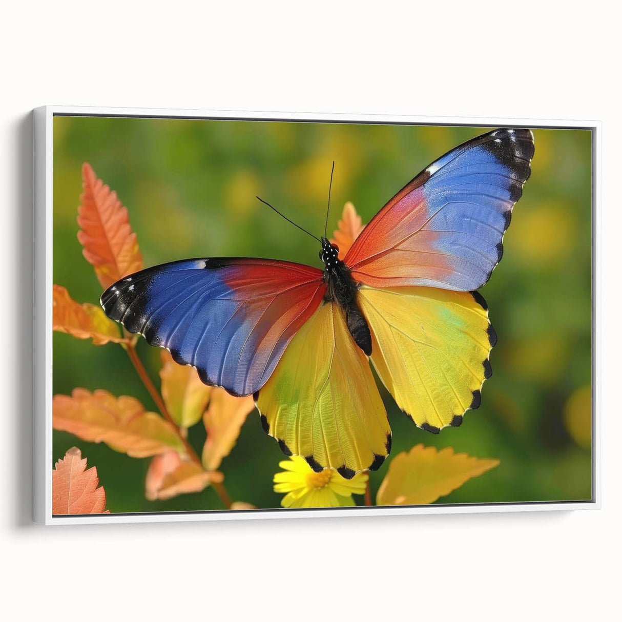 Vintage poster art of colorful birds on a black background, framed canvas, ideal for living room decor.