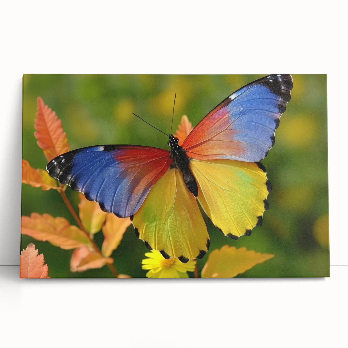 Large black and white photo of a bird on stretched canvas, ideal for kitchen wall art or bedroom ambiance.