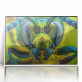 Art Deco poster of vibrant birds in flight, acrylic print in white frame, suitable for nursery wall art.