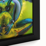 Close-up of a colorful bird on black textured canvas, ideal for extra large living room wall art.