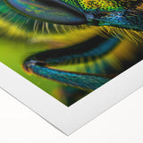 Art deco poster of a vibrant, stylized bird in bold colors on rolled canvas, suitable for dining room or bathroom wall art.