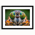 Extra large abstract art print of colorful, textured birds, on black framed canvas, ideal for living room decor.