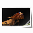 Close-up of a bird in neutral and earth tones on a rolled canvas print, ideal for art wall dining room or bathroom.