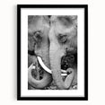 Extra large abstract art print of colorful birds, textured appearance on a black framed canvas.